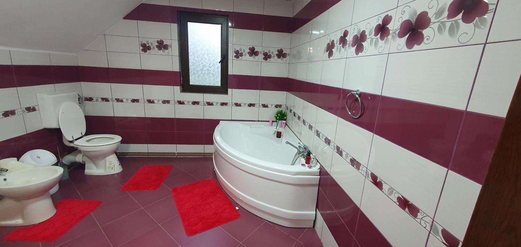 Villa Casa Andrada Horezu Esterno foto